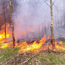 Groźny pożar lasu. Akcja gaśnicza trwała blisko 4 godziny