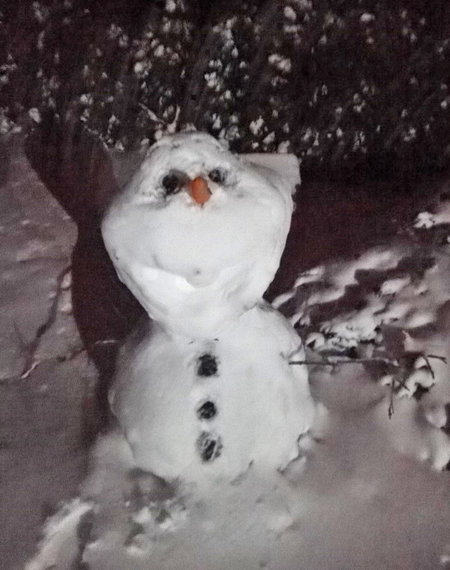 Balwanek Olafek - ulubieniec Polusi, Olgusi i Elizki