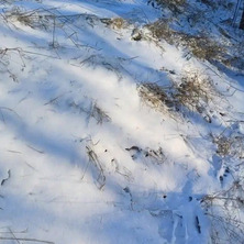 Dynamiczna sytuacja pogodowa. Jutro zamiecie