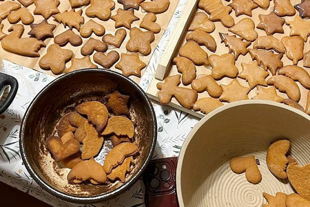 fot. Piotr Całbecki