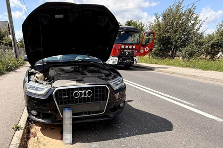 fot. powierzone