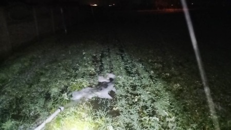 fot. Straż Miejska w Nakle